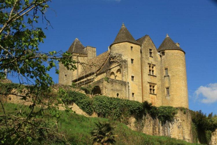 Petite Maison En Pierre Au Coeur Du Perigord Noir Proche De Sarlat Et Rocamadour Salignac Eyvigues Buitenkant foto