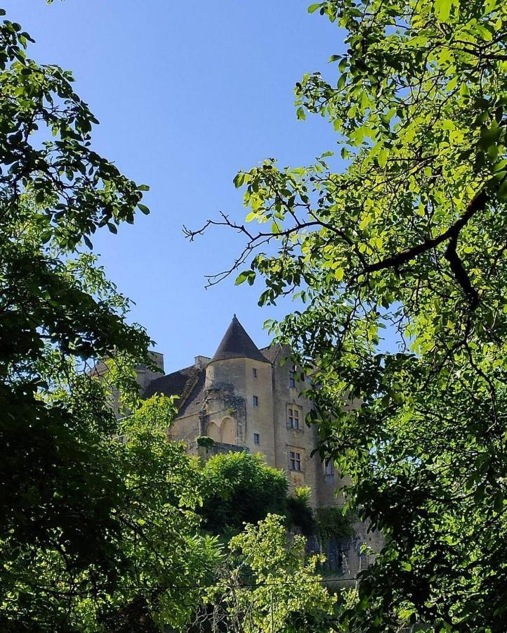 Petite Maison En Pierre Au Coeur Du Perigord Noir Proche De Sarlat Et Rocamadour Salignac Eyvigues Buitenkant foto