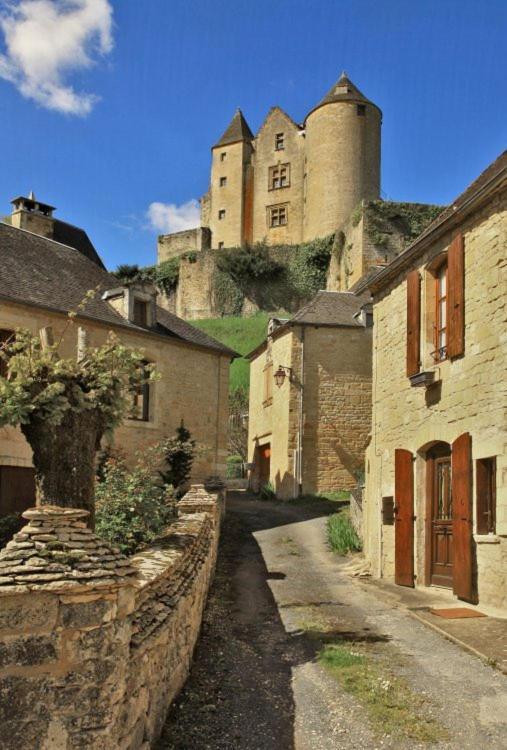 Petite Maison En Pierre Au Coeur Du Perigord Noir Proche De Sarlat Et Rocamadour Salignac Eyvigues Buitenkant foto