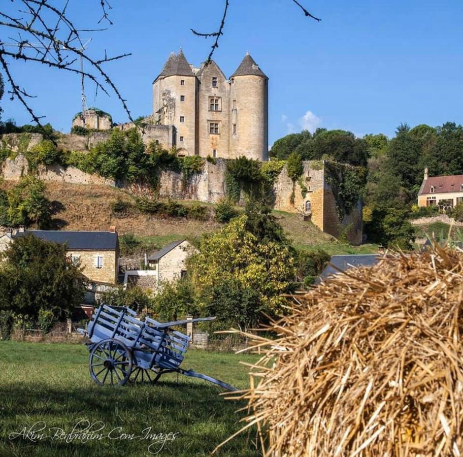 Petite Maison En Pierre Au Coeur Du Perigord Noir Proche De Sarlat Et Rocamadour Salignac Eyvigues Buitenkant foto